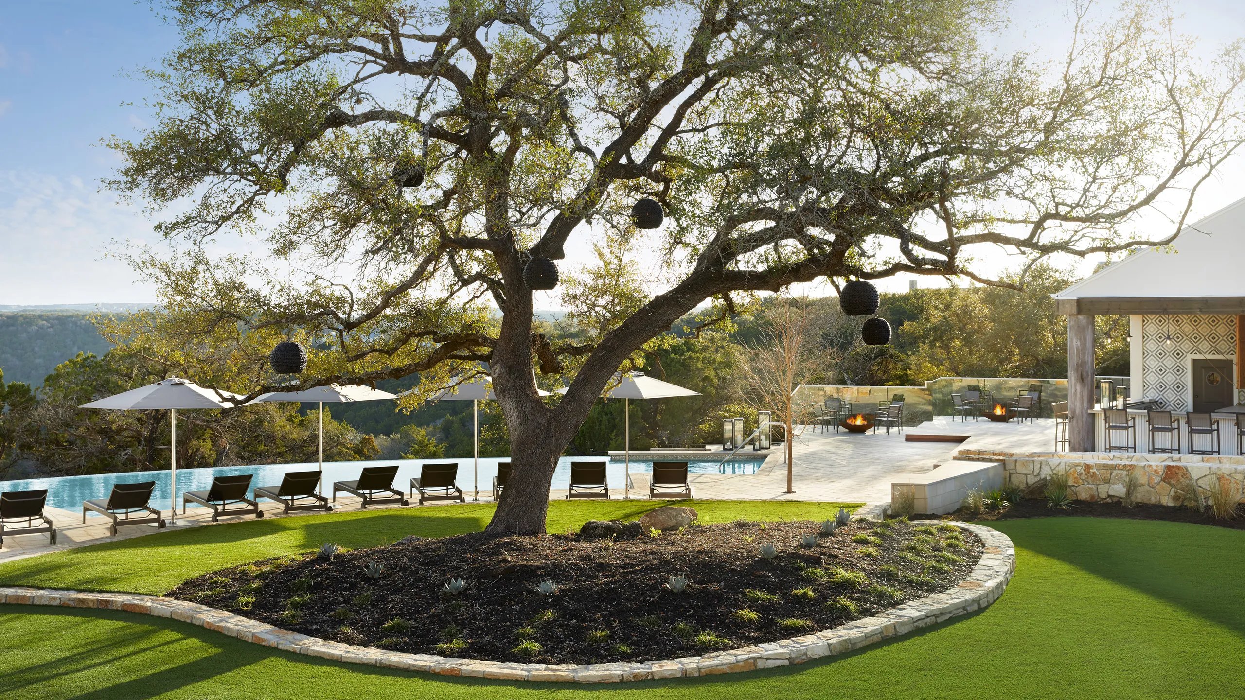 Pool & Tree